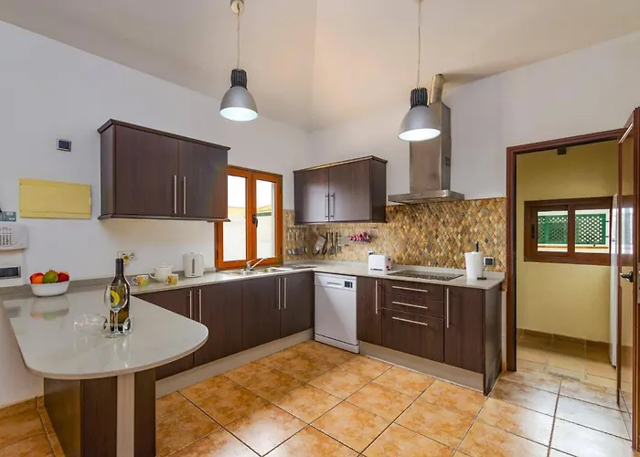 Maca By 科拉雷侯